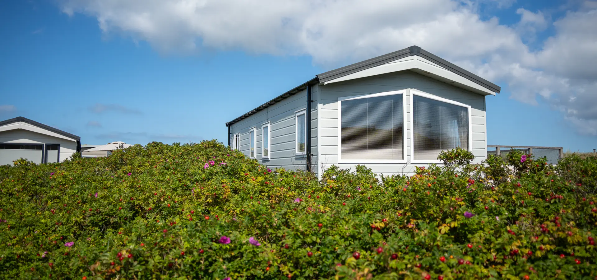 Duinoord chalets