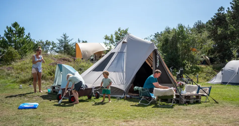 Tentplaats gezin Strandcamping Duinoord