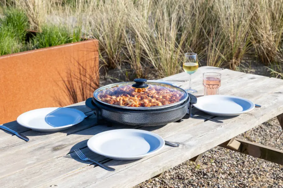 Ameland pan pastagerecht op terras