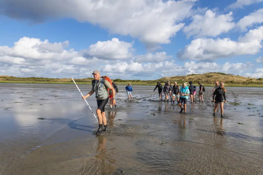 Wadlopen op ameland strandcamping duinoord