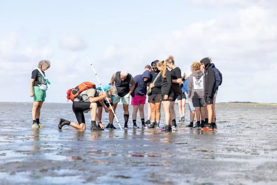 Wadloopgids uitleg waddenzee ameland