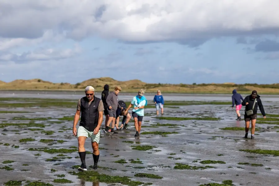 Wadlopers op het wad ameland