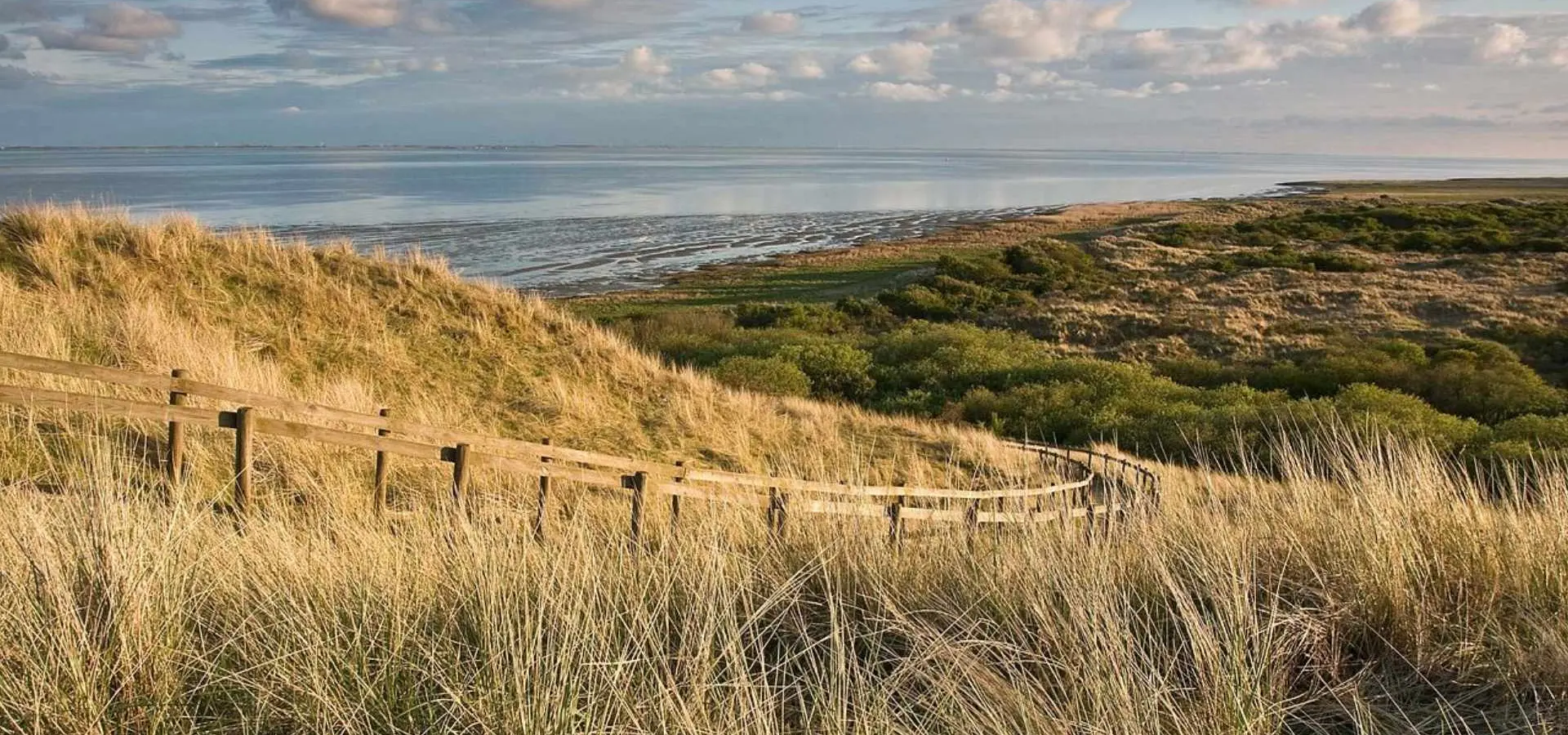 Natuur ameland duinen