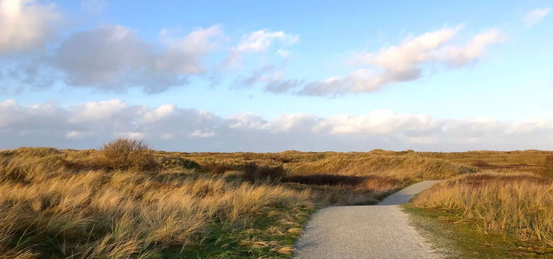 Fietspad natuur duinen ameland