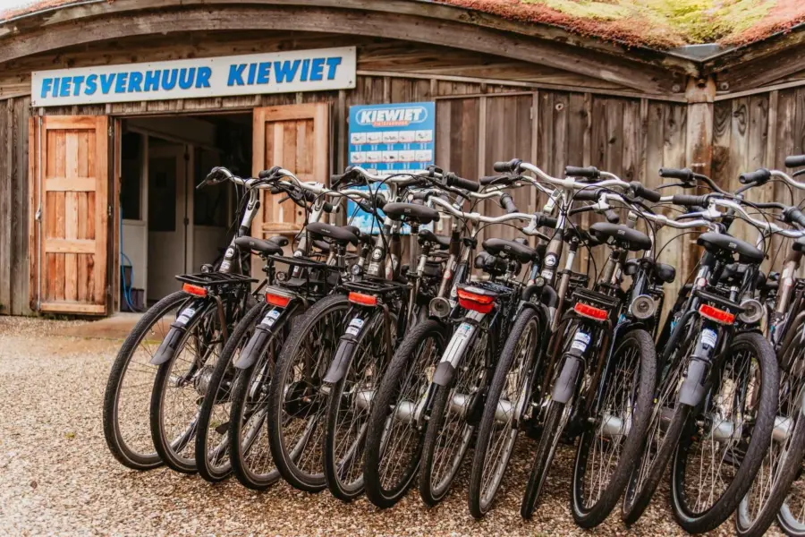 Fietsen fietsverhuur kiewiet strandcamping duinoord ameland
