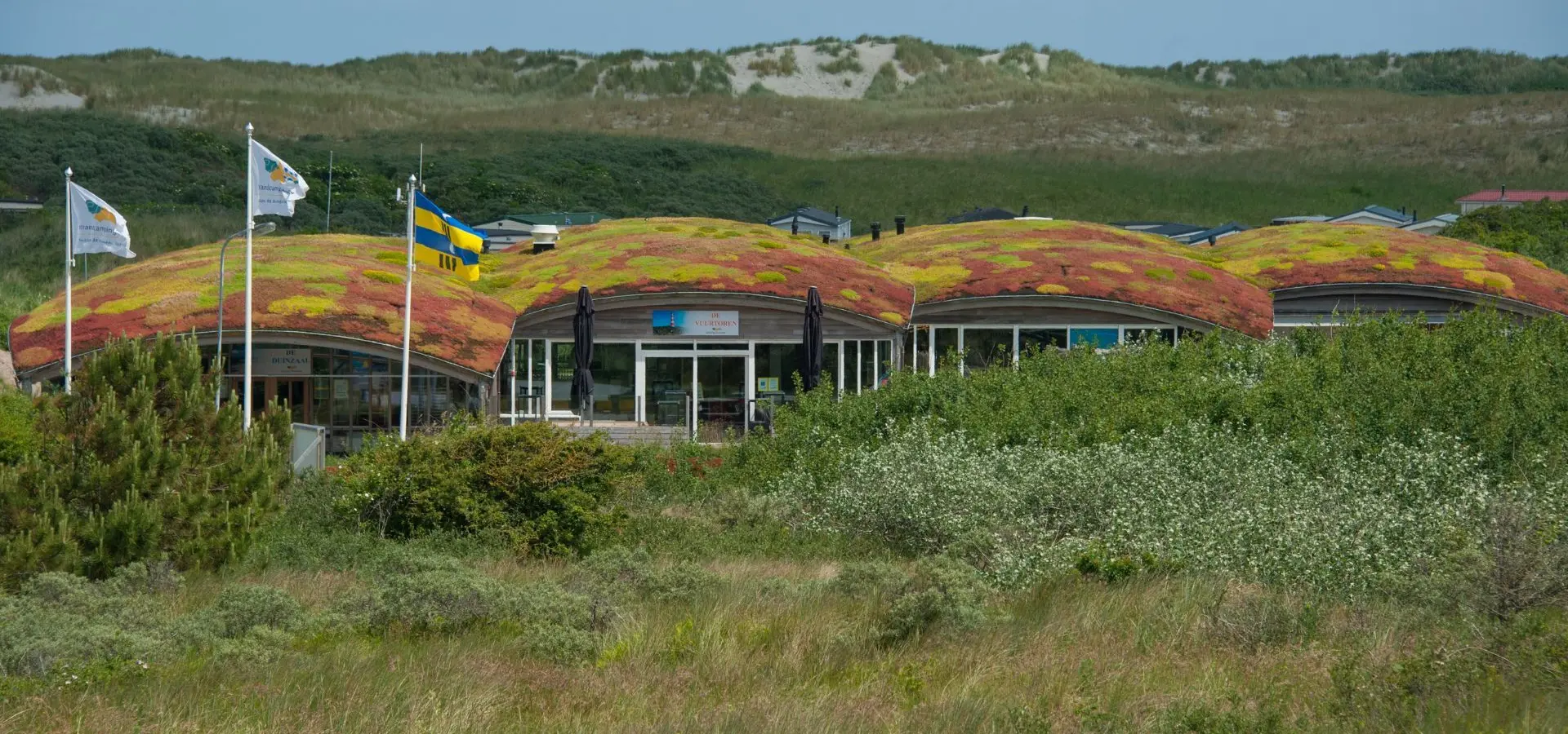 Sedum dak strandcamping duinoord ameland green key