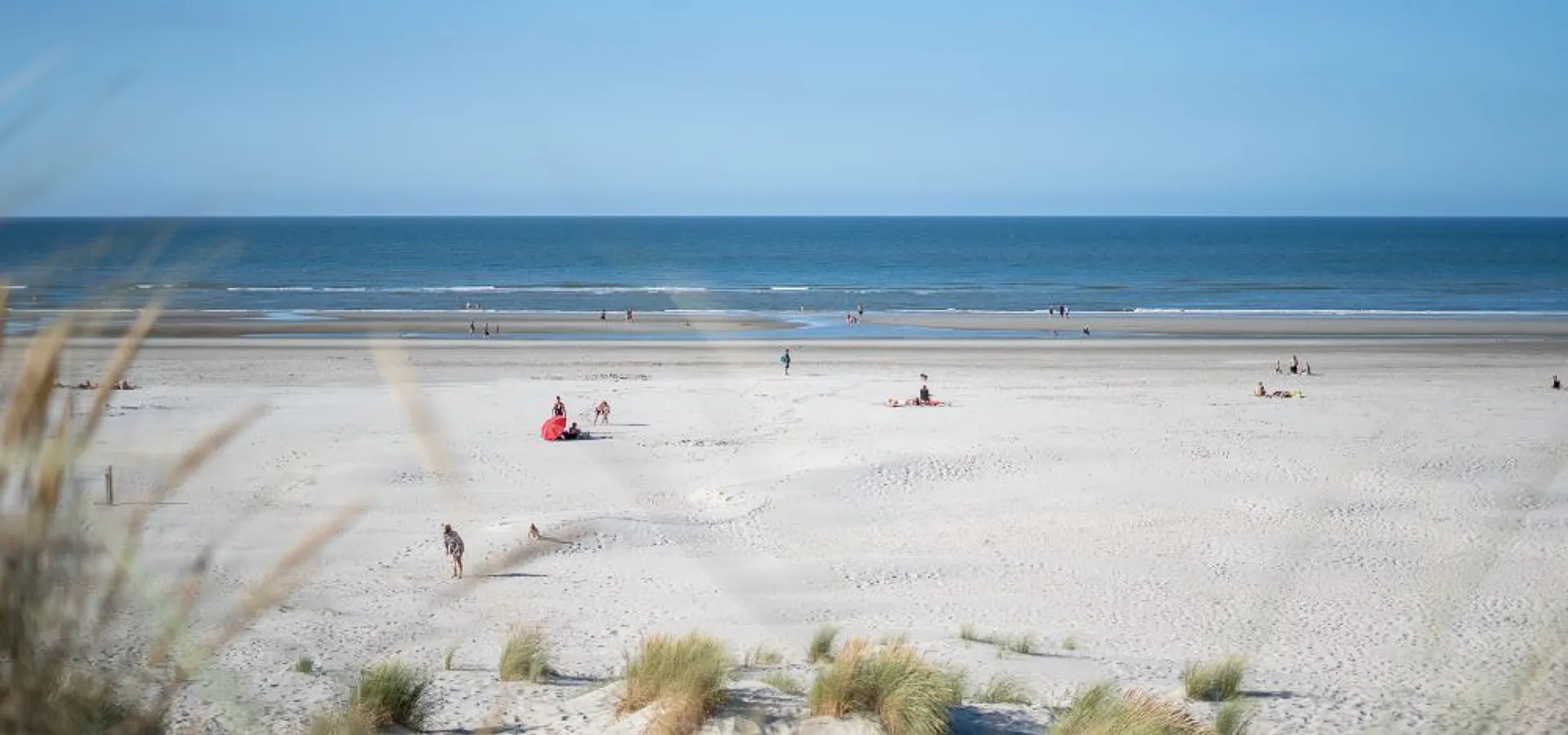 Waddenzee duinoord