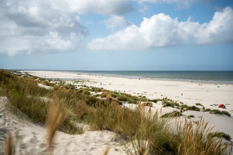 Strand ameland duinoord