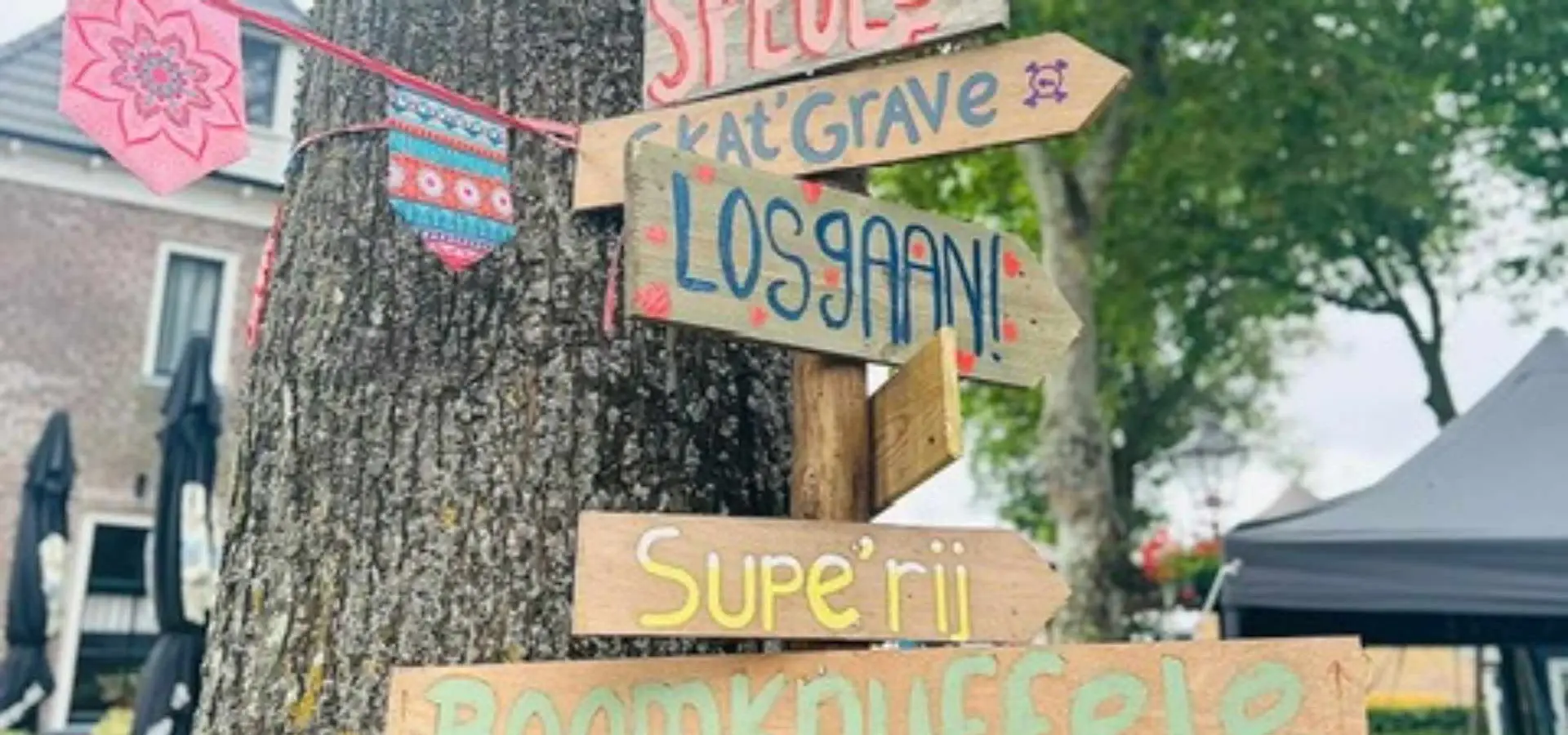 Naseumere hollum activiteiten