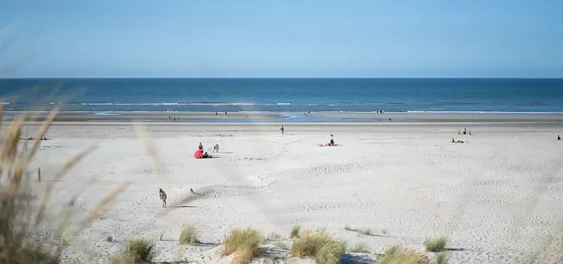 Waddenzee duinoord 1698244596