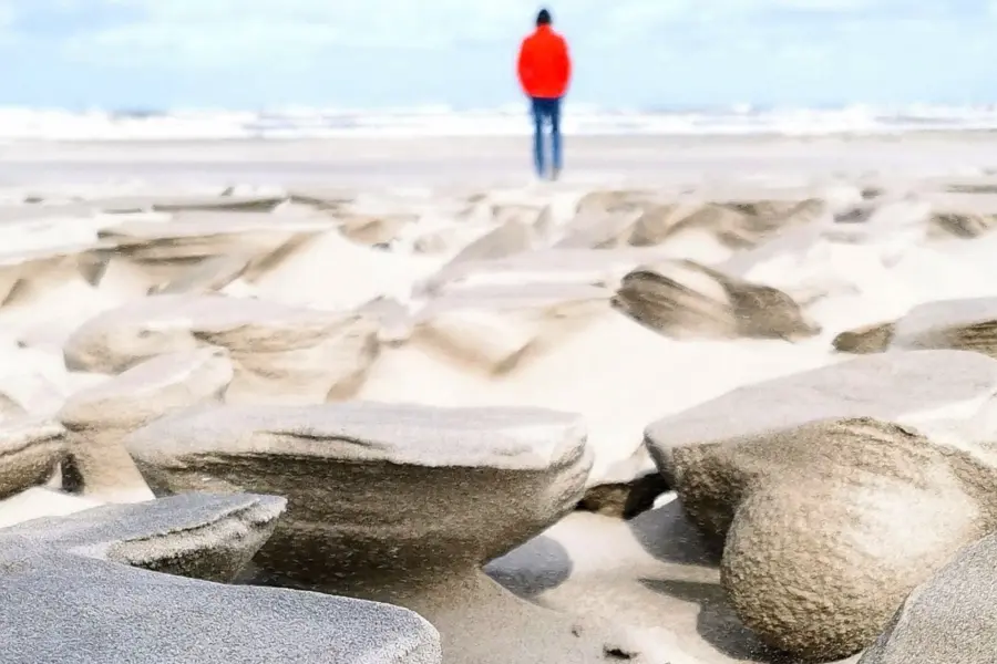 Schelpen strand persoon
