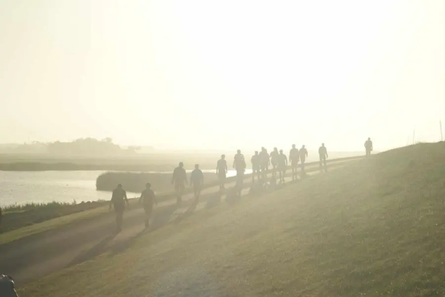 Rondje ameland wandelen dijk