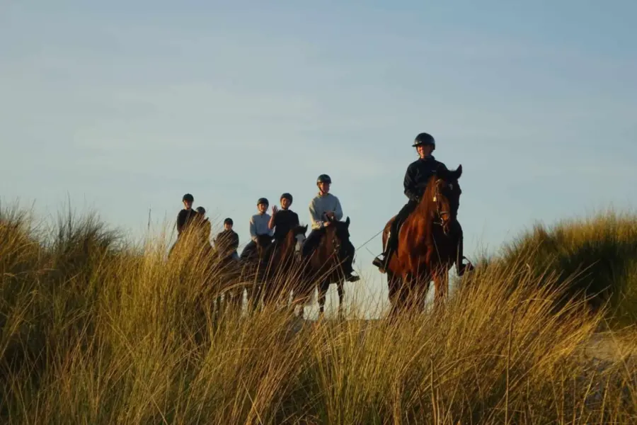Paardrijden duinen strand