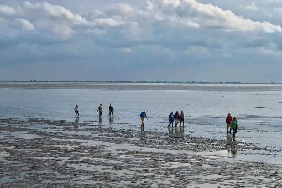 Wad waddenzee ameland