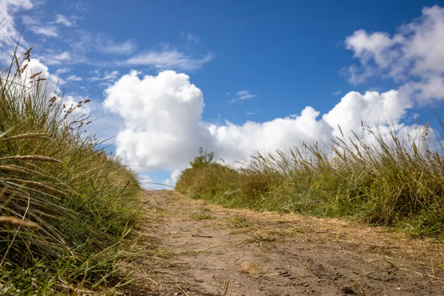 Lente Ameland Duinoord Duinen