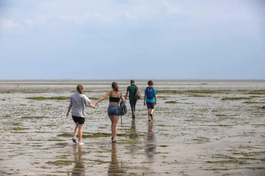 Wadlopen wadexcursie